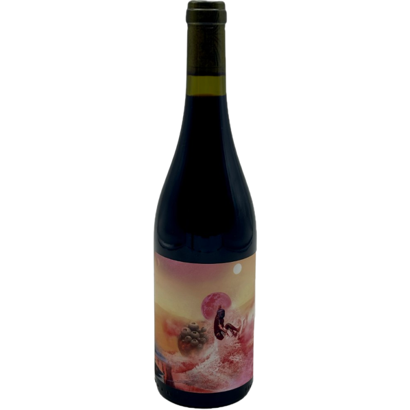 Domaine Berguerolles Red Art | French Wine Domaine Berguerolles Red Art | French Wine